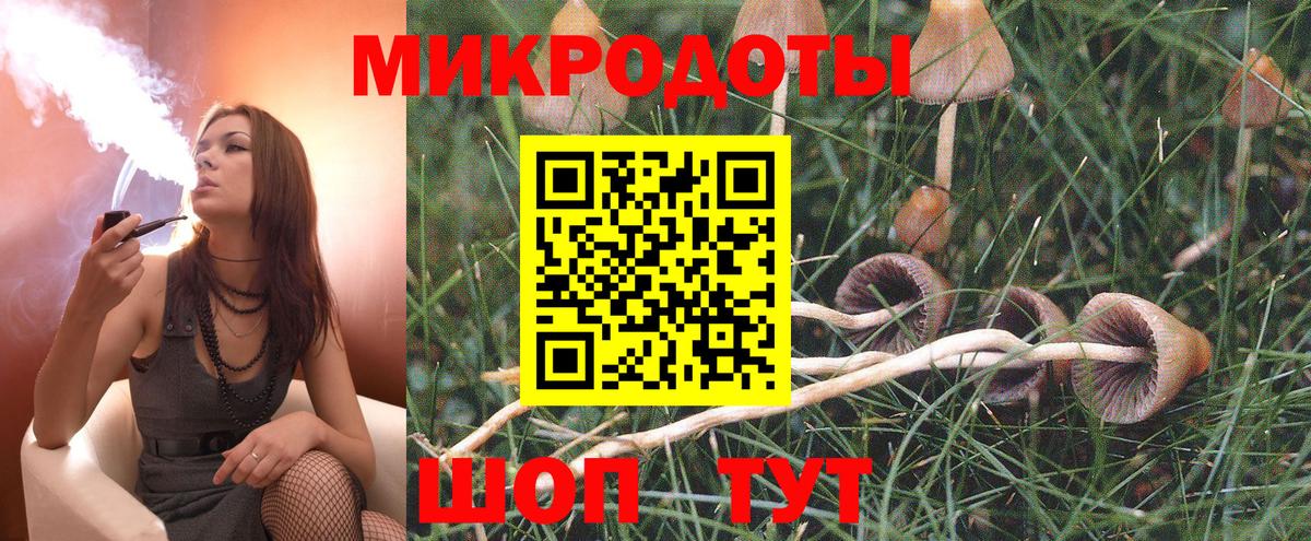 Галлюциногенные грибы прущие грибы  Галлюциногенные грибы Psilocybine cubensis  Орск  Вход с VPN 