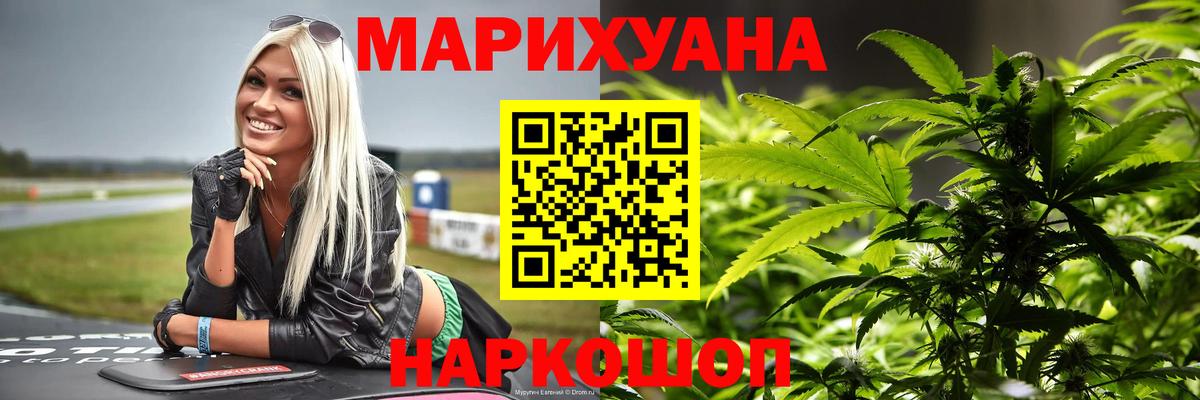 Конопля сатива Орск